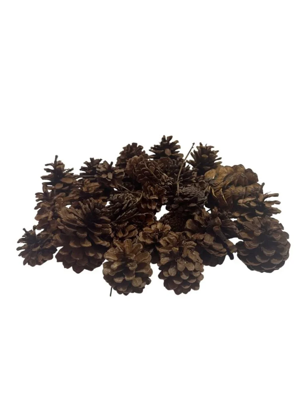 Natural Brown Pinecones for Garland Party Wedding Decor Christmas Craft Supply